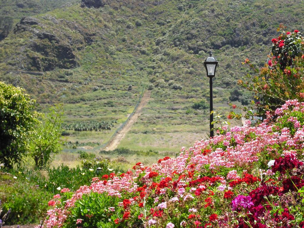 Finca El Picacho Apartments In The Countryside 2 Km From The Beach Tejina ห้อง รูปภาพ