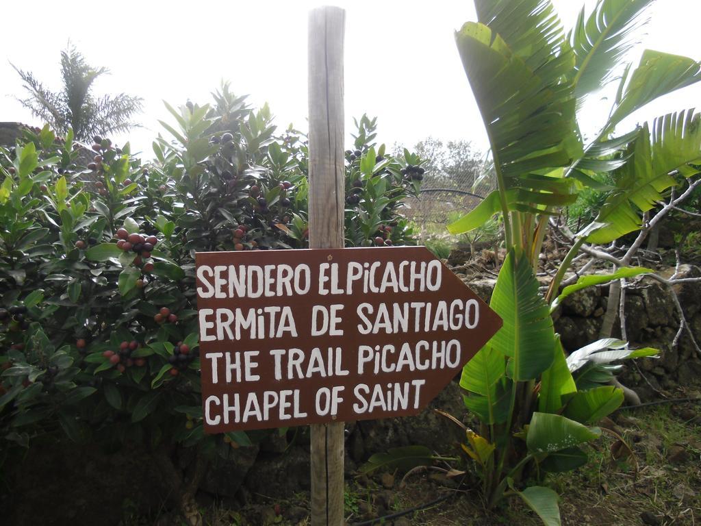 Finca El Picacho Apartments In The Countryside 2 Km From The Beach Tejina ห้อง รูปภาพ