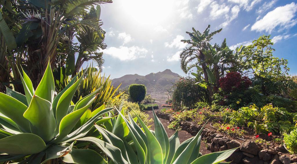 Finca El Picacho Apartments In The Countryside 2 Km From The Beach Tejina ห้อง รูปภาพ
