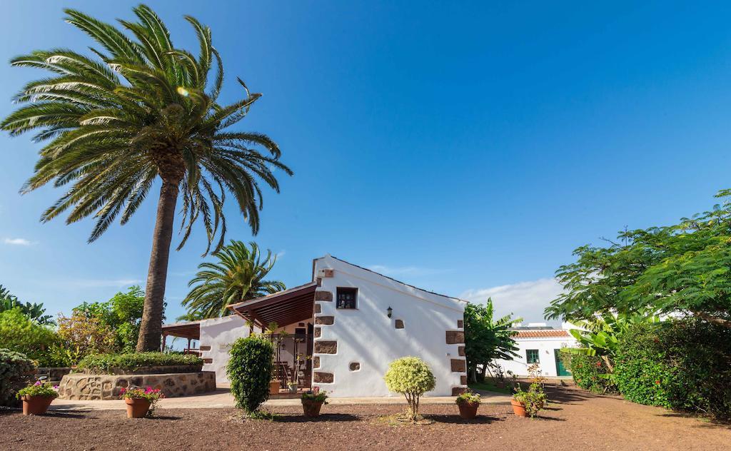 Finca El Picacho Apartments In The Countryside 2 Km From The Beach Tejina ห้อง รูปภาพ